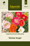 Klatschmohn 'Shirley Single'