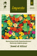 Kapuzinerkresse 'Jewel Of Africa'