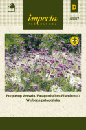 Patagonisches Eisenkraut