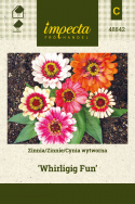 Zinnie 'Whirligig Fun'