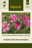 Schmuckkörbchen 'Double Click Rose Bonbon'