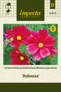 Schmuckkörbchen 'Rubenza'