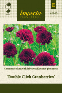 Schmuckkörbchen 'Double Click Cranberries'