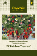 Erdbeere 'Rainbow Treasure'