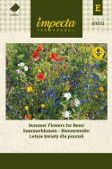 Sommerblumen Begleitpflanzen