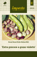 Dicke Bohne 'Extra precoce a grano violetto'