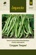 Buschbohne 'Cropper Teepee'