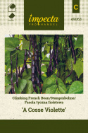 Stangenbohne 'A Cosse Violette'