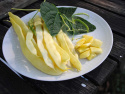 Stangenbohne 'Goldmarie'