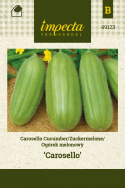 Gurken-Melone 'Carosello'