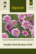 Schmuckkörbchen 'Double Click Bicolour Pink'
