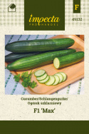 Schlangengurke 'Max'