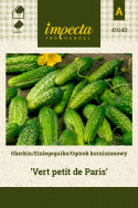 Einlegegurke 'Vert petit de Paris'