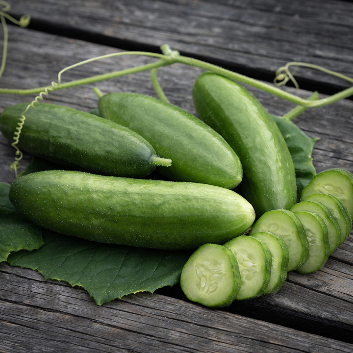 Schlangengurke 'Beth Alpha'