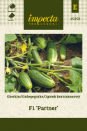 Einlegegurke 'Partner'