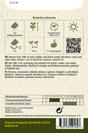 Blumenkohl 'Bola de Neve'
