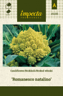 Blumenkohl 'Romanesco natalino'