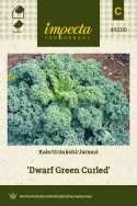 Grünkohl 'Dwarf Green Curled'