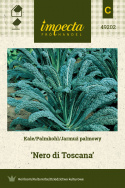 Palmkohl 'Nero di Toscana'