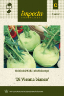 Kohlrabi 'Wiener Vit'