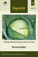 Weißkohl 'Brunswijker'