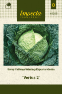 Wirsingkohl 'Vertus 2'