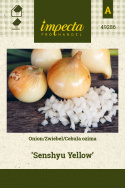 Wintersteckzwiebel 'Senshyu Yellow'