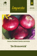 Rote Zwiebel 'De Brunswick'