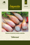 Zwiebel Schalotte 'Zebrune'