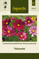 Schmuckkörbchen 'Velouette'