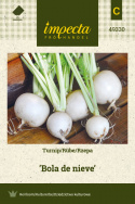 Mairübe 'Bola de nieve'