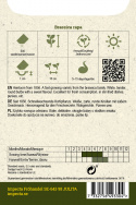 Mairübe 'Bola de nieve'
