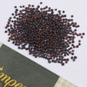 Mairübe 'Bola de nieve'