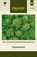 Stängelkohl 'Quarantina'