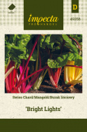 Mangold 'Bright Lights'