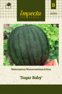 Wassermelone 'Sugar Baby'