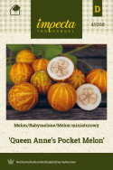 Mango-Melone 'Queen Anne's Pocket Melon'