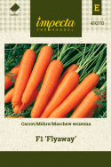 Möhre F1 'Flyaway'