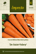 Möhre 'De Saint-Valery'