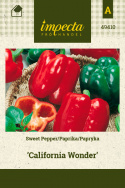 Paprika 'California Wonder'