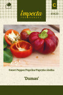 Paprika 'Dumas'