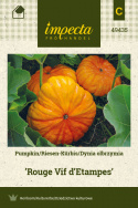 Riesenkürbis 'Rouge Vif d'Etampes'