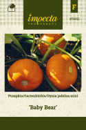 Kürbis  'Baby Bear'