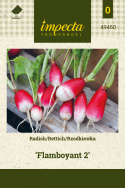 Radieschen 'Flamboyant 2'
