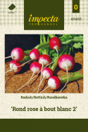 Radieschen 'Rond rose à bout blanc 2'