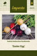 Radieschen 'Easter Egg'