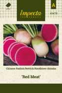Chinesischer Rettich 'Red Meat'