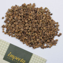 Rote Bete 'Detroit Dark Red 2'