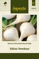 Weiße Bete 'Albina Vereduna'