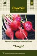 Rote Bete 'Chioggia'